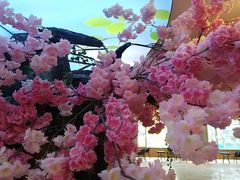 -沈阳龙润夏宫温泉水乐园
