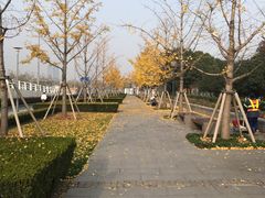 -龙美术馆(西岸馆)