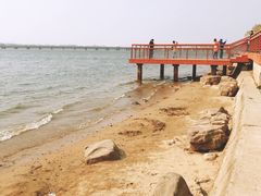 -丁香湖公园