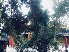 -孔庙和国子监博物馆