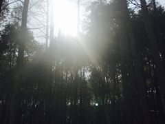 -同里国家湿地公园