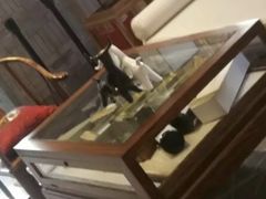 -北京南锣鼓巷亚朵酒店