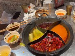 -朱光玉火锅馆(正弘城店)