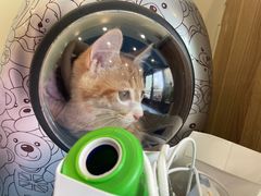 -萌兽医馆·犬猫专科·眼科中心·宠物医院(朝阳门分院)