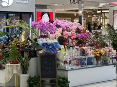 -巴黎春天(浦建店)