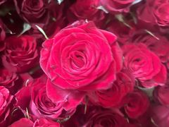 -好利来(高新枫叶广场店)