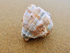 -威海大乳山景区
