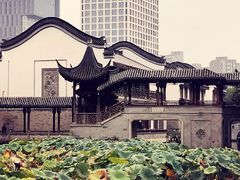 -龙潭水乡