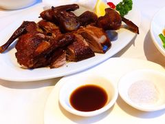 -食为先(Shark Fin)