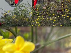 -武汉园博园(武汉自然博物馆)