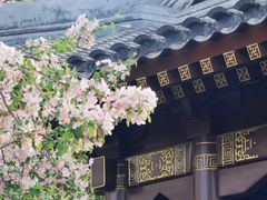 -海棠花溪(元大都城垣遗址公园)