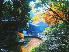 -中国茶叶博物馆(双峰馆区)