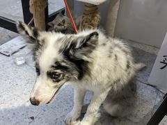 -四个朋友·自助棋牌(万松园国贸新都店)