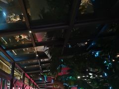 -海岛八号龙虾烧烤田鸡(蓝天路总店)