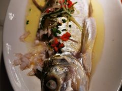 -荷塘秋月·本帮江浙菜(国权路店)