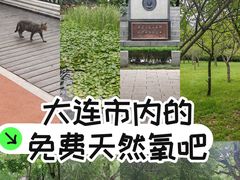 -大连植物园