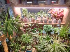 景观位-十二舍·湯物素煮(江泰潤政店)