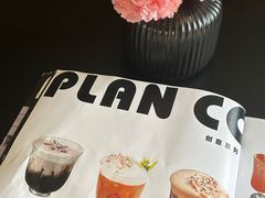 -PLAN CO