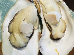 -渡海小渔村.老辈日照菜