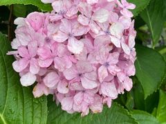 -东华大学(松江校区)