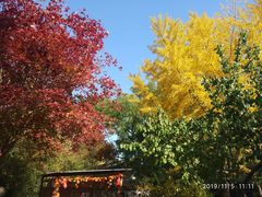 -香山公园-东宫门售票处