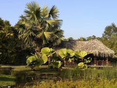 -中国科学院西双版纳热带植物园