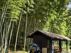 -黄公望隐居地