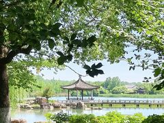 -尚湖风景区