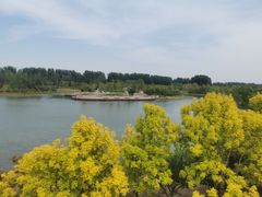 -东郊湿地公园