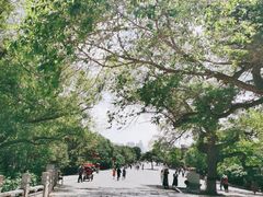 -北陵公园