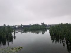 -白鹭湾湿地公园