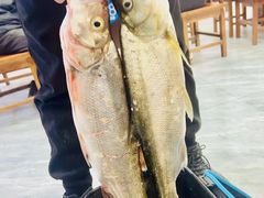 -源水鱼庄·翘嘴鲌店·老字号