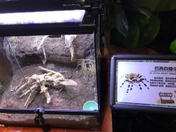 -酷嗒动物文化乐园(cutezoo西溪乐天城店)