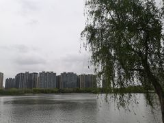 -南翔镇银翔湖公园