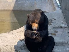 -大连森林动物园