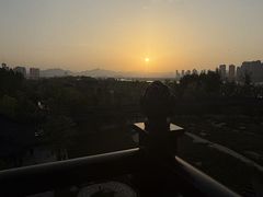 -江心屿景区