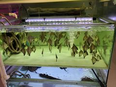 -华声天桥民俗文化园