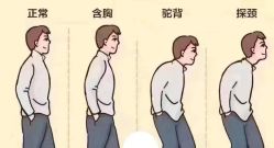 -玛莲朵·海菲秀冰珀科