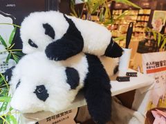 -轩客会(熊猫书店)