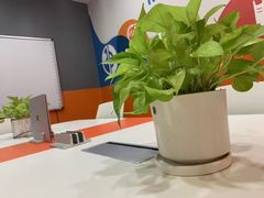 -编程猫·少儿编程(绿宝校区)