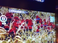 -温莎KTV(国贸店)