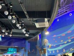 -烟台海昌鲸鲨海洋公园