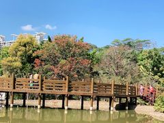 -深圳国际园林花卉博览园