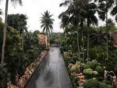 -东芭乐园