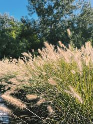 -鸿禧国际高尔夫俱乐部婚宴·草坪婚礼·宴会厅