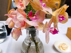 -蝶舍·MAISON PAPILLON