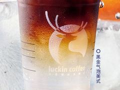 黑金气泡美式-瑞幸咖啡(半里花海生活广场店)