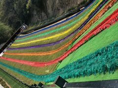 -梦幻奥陶纪景区