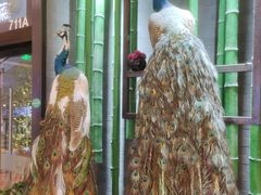 -雀舞云南菜(天津天河城购物中心店)