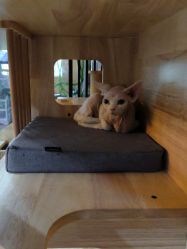 -青木造型HAIR·あおき髪を刈る潮人店